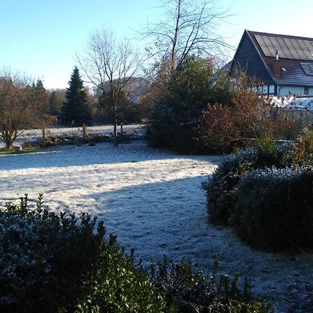 Ferienwohnung Twete Detmold Zewnętrze zdjęcie