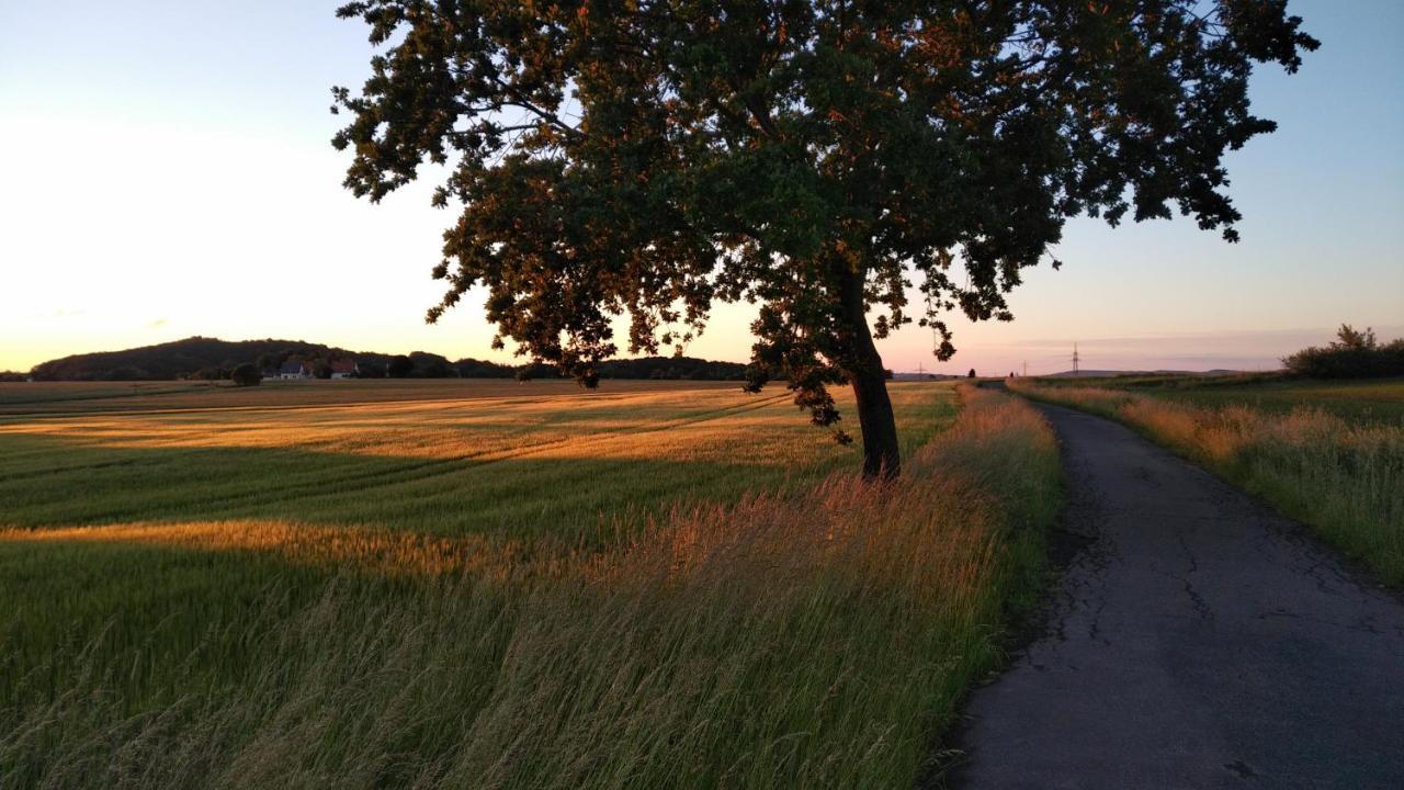 Ferienwohnung Twete Detmold Zewnętrze zdjęcie